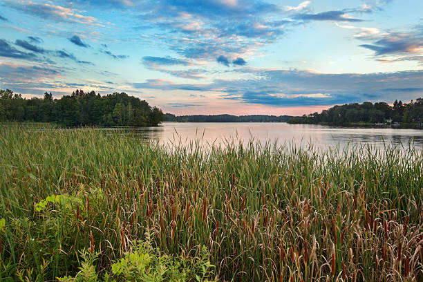 Conservation and Community: Indigenous Land Management in Massachusetts